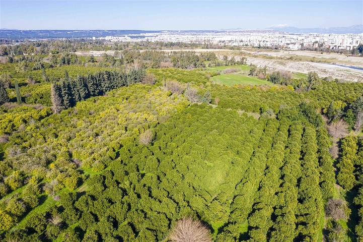 Меблированная квартира 2+1 в комплексе в Лимане Коньяалты