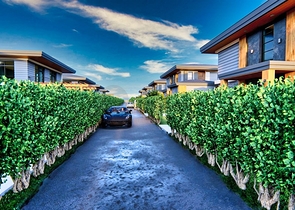 Инвестиционный проект вилл с 4 спальнями в Белеке