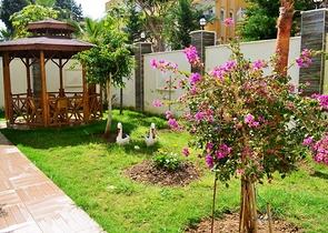 Меблированная квартира планировки 2+1