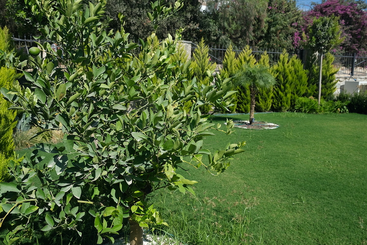 Уникальная резиденция в полуострове Бодрум! (2 этап)