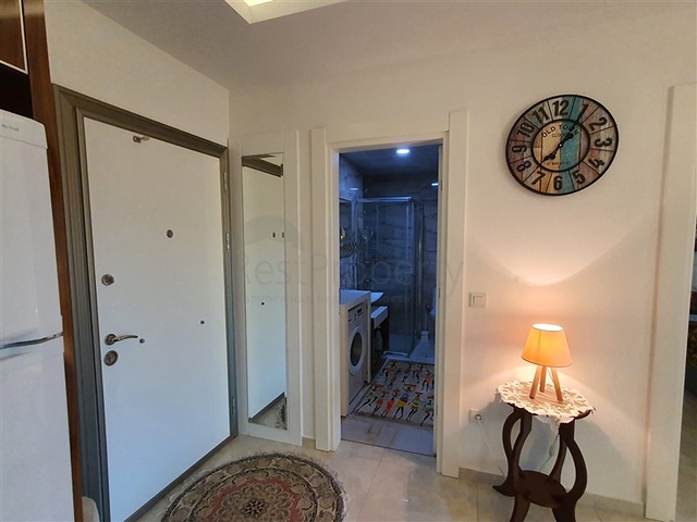 Меблированная квартира планировки 1+1