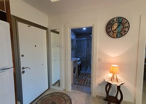 Меблированная квартира планировки 1+1