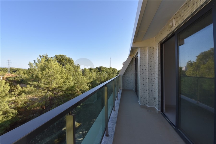 Двухкомнатная квартира в сосновом лесу