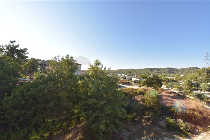 Двухкомнатная квартира в сосновом лесу