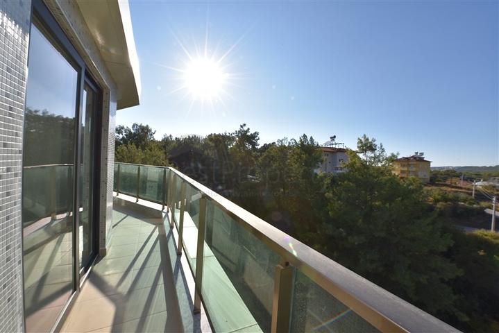 Двухкомнатная квартира в сосновом лесу