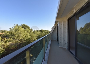 Двухкомнатная квартира в сосновом лесу