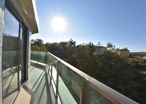 Двухкомнатная квартира в сосновом лесу