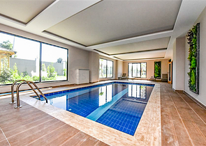 Новый инвестиционный проект в Авсалларе