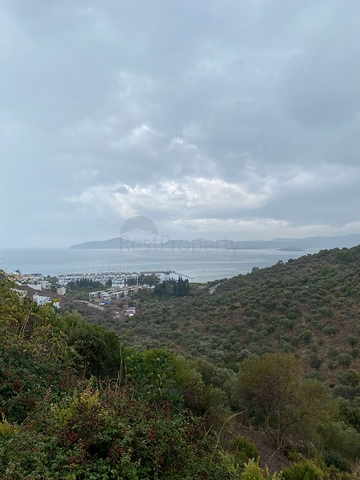 Уникальные Виллы с Видом на Море