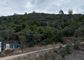 Уникальные Виллы с Видом на Море