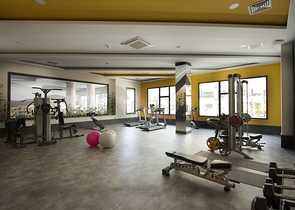 Готовая для проживания квартира 2+1