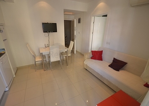 Меблированная квартира 1+1 на Клеопатре