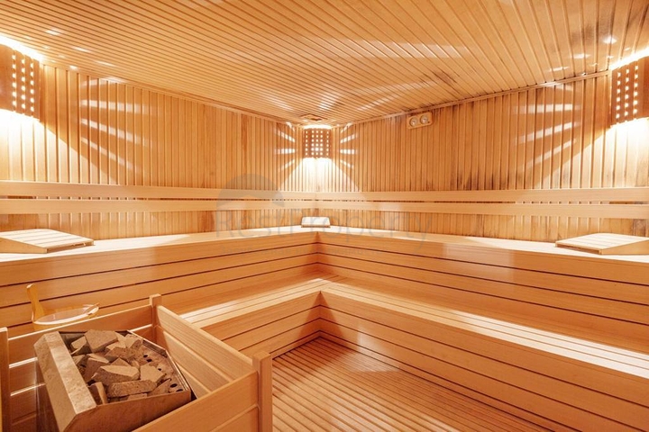 Меблированная квартира 1+1