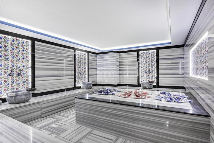 Меблированная квартира 1+1