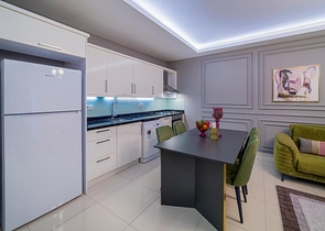 Меблированная квартира 1+1