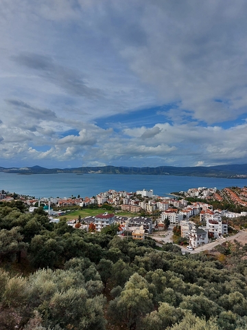 Прекрасная Жизнь в Полуострове с Уникальной Природой