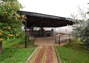 Просторный пентхаус с видом на Средиземное море 