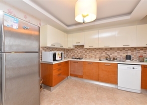 Уютный меблированный пентхаус 3+1