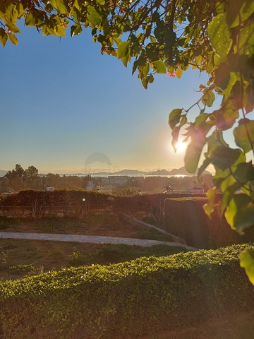 Трехкомнатная Квартира с Видом На Море и с Садом