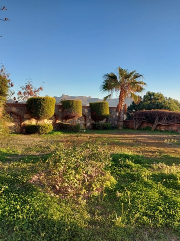 Трехкомнатная Квартира с Видом На Море и с Садом