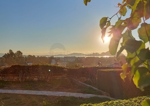 Трехкомнатная Квартира с Видом На Море и с Садом