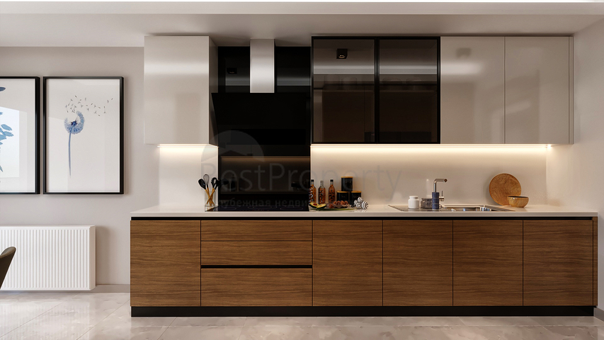 Новый инвестиционный проект в районе Авжылар 