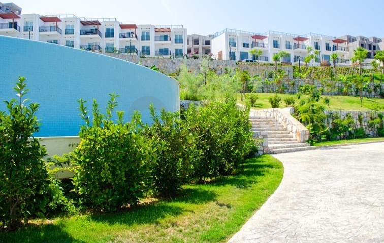 Уютные апартаменты ЖК  всего в 250м от моря! Уютные апартаменты ЖК  всего в 250м от моря!