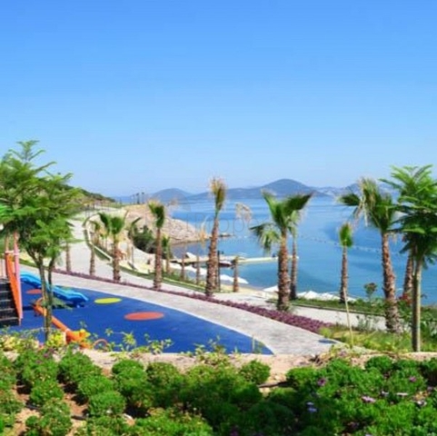 Уютные апартаменты ЖК  всего в 250м от моря! Уютные апартаменты ЖК  всего в 250м от моря!