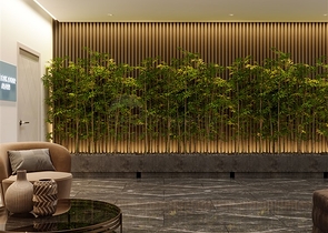 Новый проект в районе Демирташ