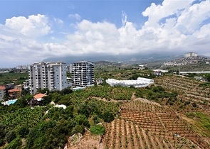 Квартира 3+1 в новом комплексе