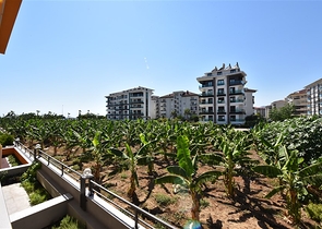 Просторные апартаменты в Кестель