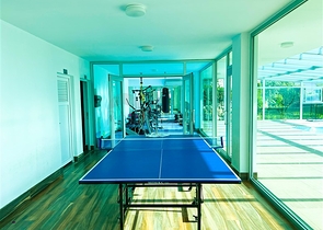 Меблированный просторный пентхаус с видом на море