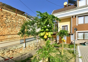 Просторная вилла 11+2 с частным участком и панорамным видом на море