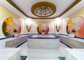 Светлая меблированная квартира 1+1 для комфортной жизни