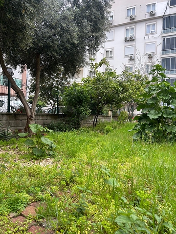 Квартира планировки 3+2 дуплекс в микрорайоне Лиман -Анталия