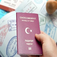 В каких странах граждане Турции могут побывать без виз в 2024?
