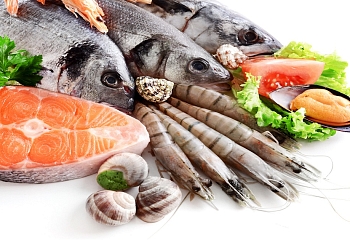 В Турции растет экспорт морепродуктов