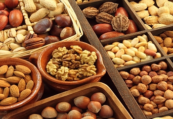 Экспорт орехов в Турции вырос до 1,8 млрд долларов
