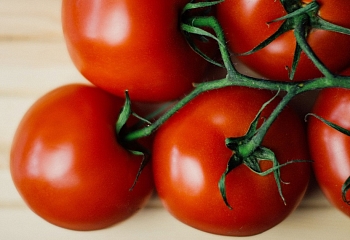 В Россию привезли первую партию томатов из Турции