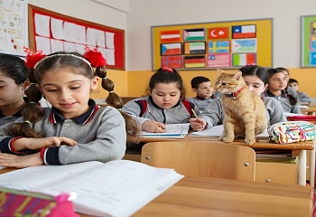 Турецкие школьники изучают «Науку о жизни»