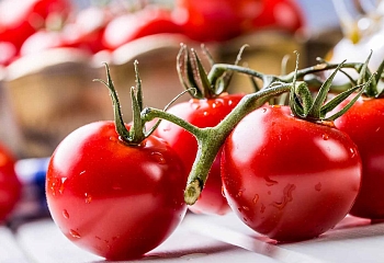 Анкара ждет решения Москвы по томатам