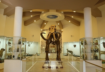 Музей Зоологии и природы открылся в Газиантепе