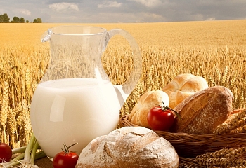 Фасоль, хлеб и молочные продукты: что едят в Турции