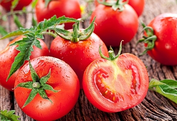 Вопрос о возвращении турецких томатов в Россию решат «экспериментально»