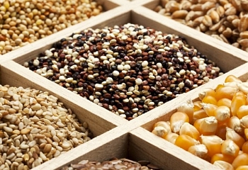 Ешьте на здоровье: продукцию из турецких семян выращивают в 76 странах