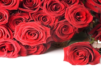 Миллионы роз готовит Турция ко Дню Влюбленных