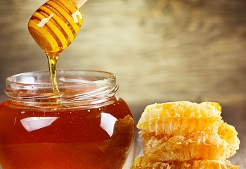  Ведро меда с улья: турецкие пчелы изумили пчеловодов