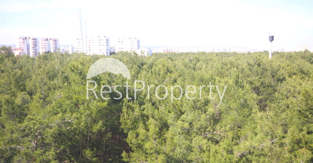 Апартаменты с видом на сосновый парк в Анталии,  Коньяалты