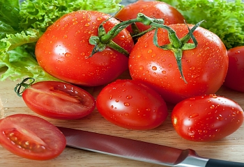 В Турции растет экспорт помидоров
