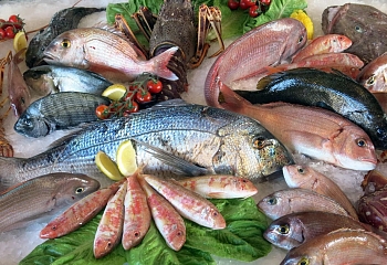 Больше всего турецкой рыбы едят в США